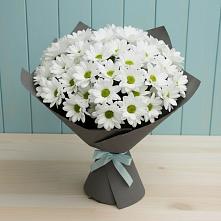 Букет цветов из:  Хризантемы #REPLACE_PRED# Совхозный