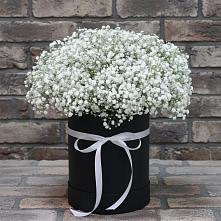 Цветочная композиция из Гипсофила в шляпной коробке #REPLACE_PRED# Совхозный