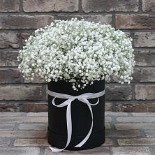 Цветочная композиция из Гипсофила в шляпной коробке в Совхозный